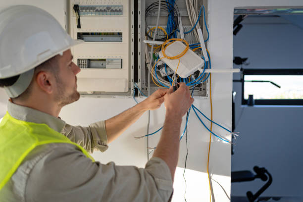 Best Home Electrical Repair  in Mountain Lake, MN